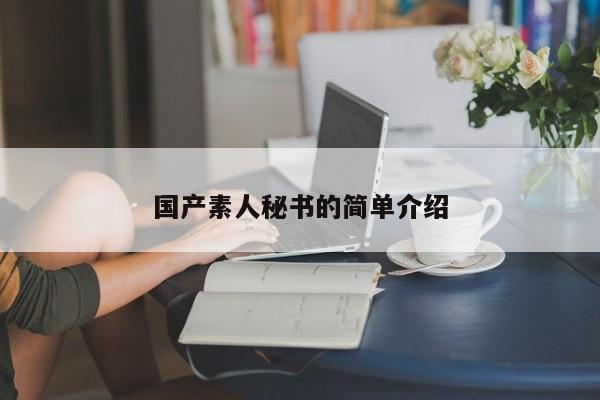 国产素人秘书的简单介绍