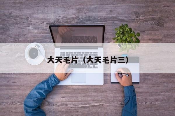 大天毛片（大天毛片三）