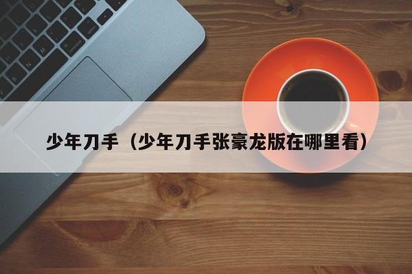 少年刀手（少年刀手张豪龙版在哪里看）